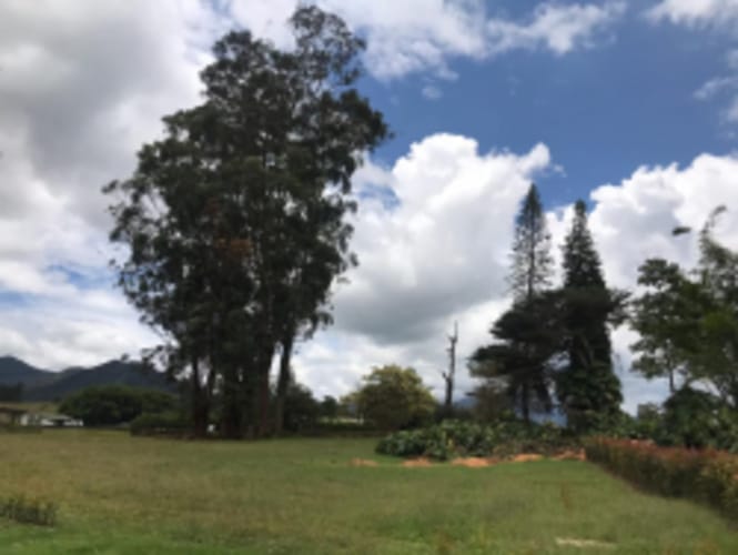 Lote en venta en El Carmen De Viboral, El Carmen de Viboral, 5646 m² · foto 4 de 20