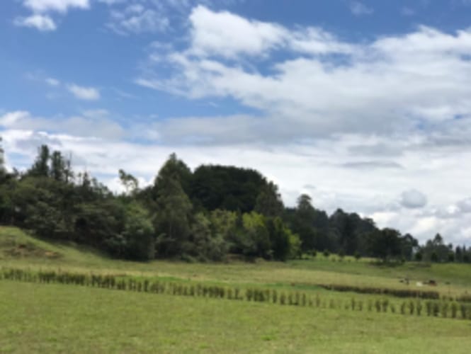 Lote en venta en El Carmen De Viboral, El Carmen de Viboral, 5646 m² · foto 5 de 20