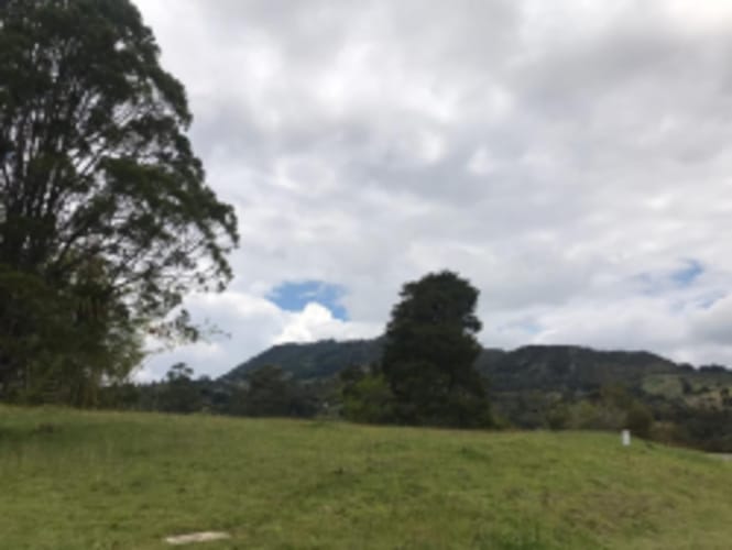 Lote en venta en El Carmen De Viboral, El Carmen de Viboral, 5646 m² · foto 6 de 20