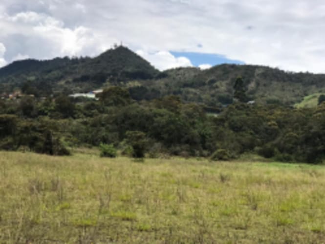 Lote en venta en El Carmen De Viboral, El Carmen de Viboral, 5646 m² · foto 10 de 20