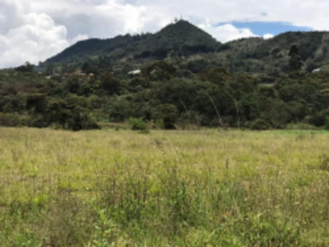 Lote en venta en El Carmen De Viboral, El Carmen de Viboral, 5646 m² · foto 11 de 20