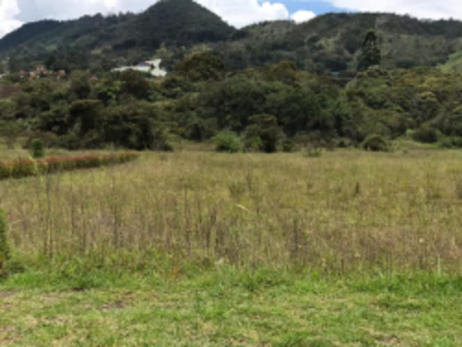 Lote en venta en El Carmen De Viboral, El Carmen de Viboral, 5646 m² · foto 12 de 20