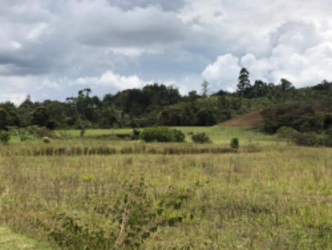 Lote en venta en El Carmen De Viboral, El Carmen de Viboral, 5646 m² · foto 13 de 20