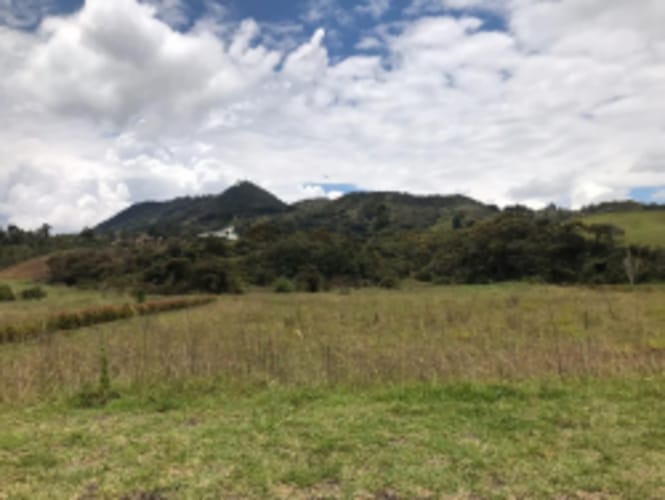 Lote en venta en El Carmen De Viboral, El Carmen de Viboral, 5646 m² · foto 14 de 20