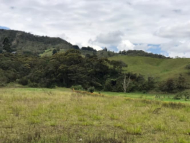 Lote en venta en El Carmen De Viboral, El Carmen de Viboral, 5646 m² · foto 15 de 20