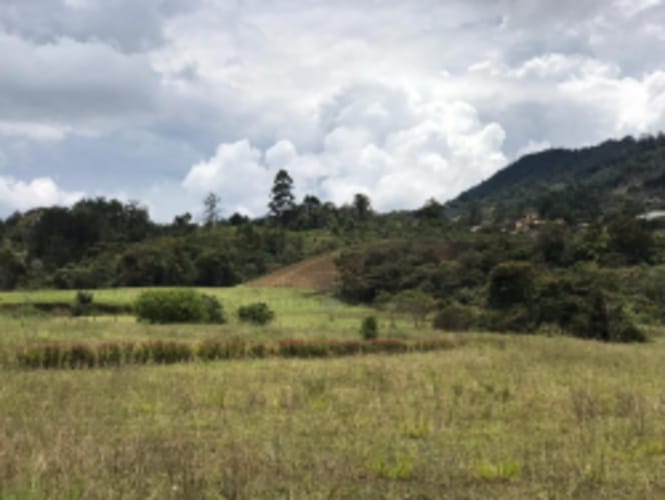 Lote en venta en El Carmen De Viboral, El Carmen de Viboral, 5646 m² · foto 16 de 20