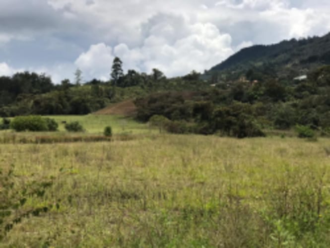 Lote en venta en El Carmen De Viboral, El Carmen de Viboral, 5646 m² · foto 19 de 20
