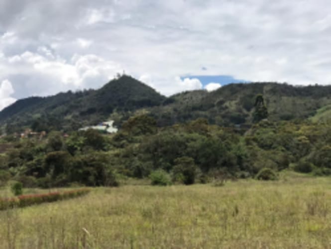 Lote en venta en El Carmen De Viboral, El Carmen de Viboral, 5646 m² · foto 20 de 20
