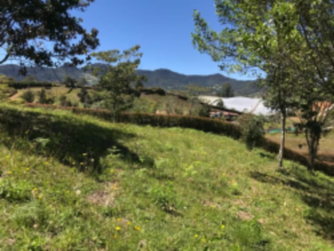 Lote en venta en El Carmen de Viboral, 2515 m² · foto 2 de 20