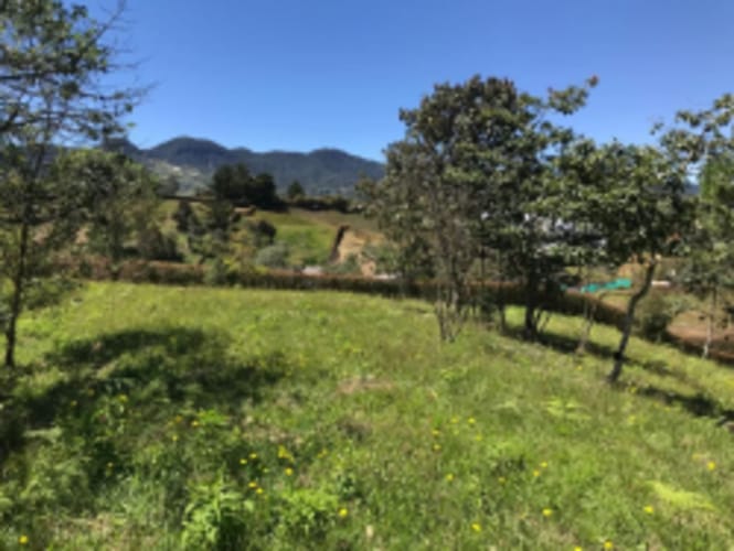 Lote en venta en El Carmen de Viboral, 2515 m² · foto 3 de 20