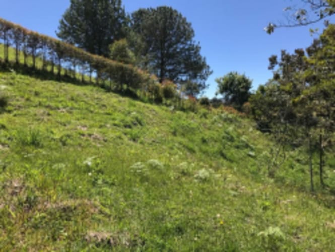 Lote en venta en El Carmen de Viboral, 2515 m² · foto 6 de 20