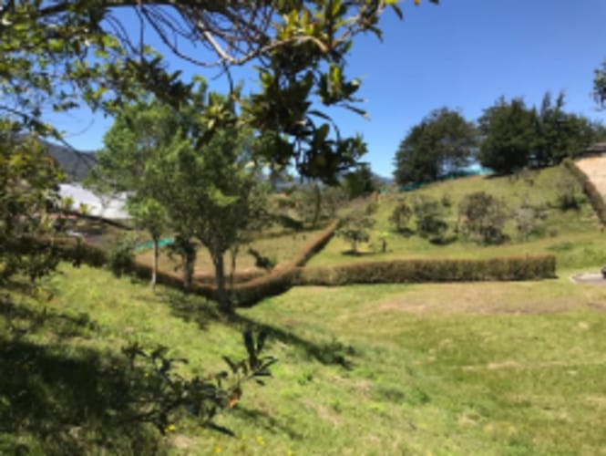 Lote en venta en El Carmen de Viboral, 2515 m² · foto 8 de 20