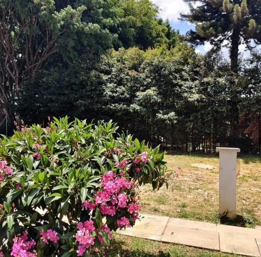 Lote en venta en Lomitas, La Ceja, 80 m² · foto 10 de 10