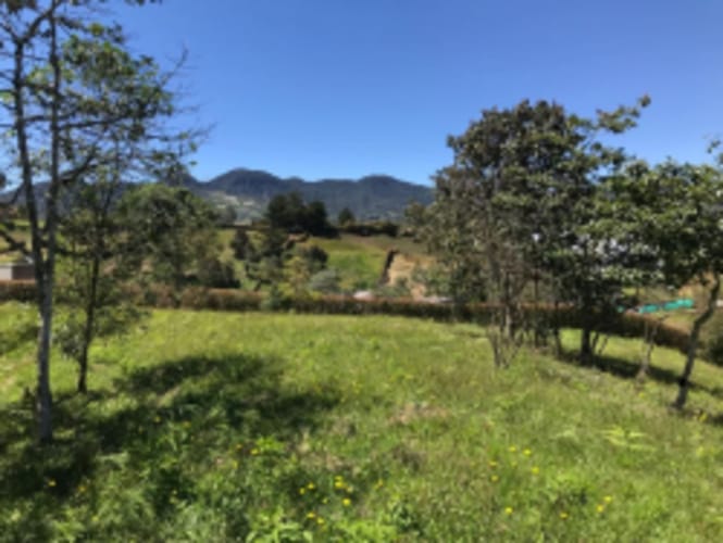 Lote en venta en El Carmen de Viboral, 2515 m² · foto 9 de 20