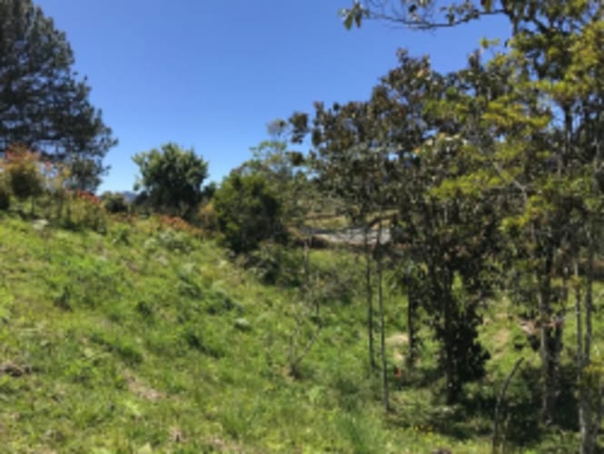 Lote en venta en El Carmen de Viboral, 2515 m² · foto 10 de 20