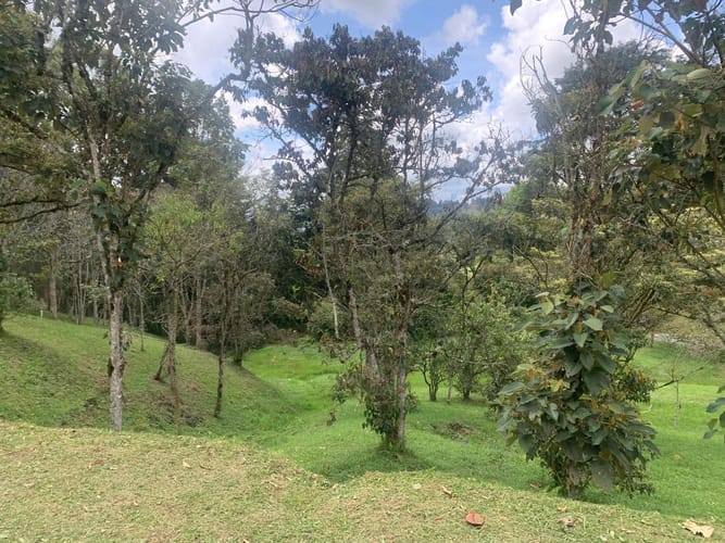 Finca en venta en Sajonia, Rionegro, 263 m² · foto 13 de 21