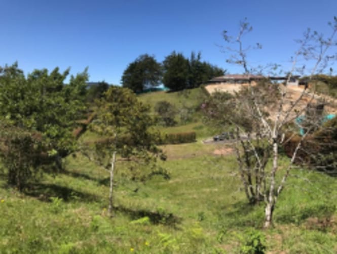 Lote en venta en El Carmen de Viboral, 2515 m² · foto 12 de 20