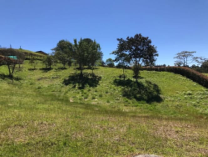 Lote en venta en El Carmen de Viboral, 2515 m² · foto 13 de 20