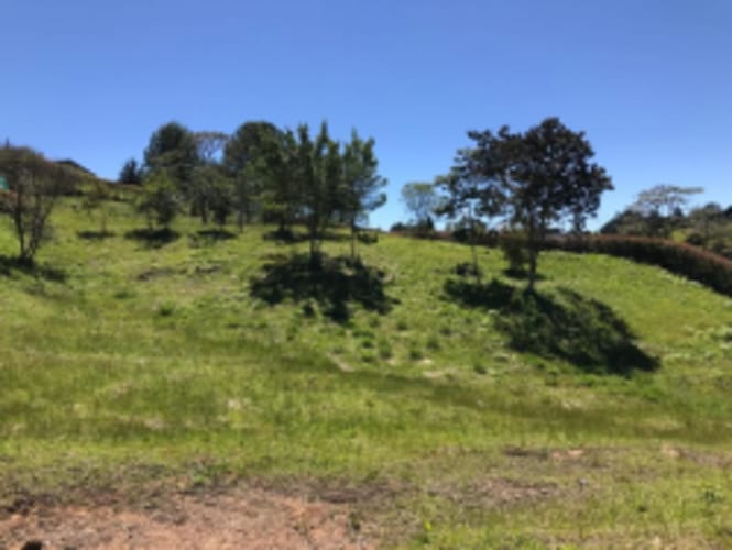 Lote en venta en El Carmen de Viboral, 2515 m² · foto 14 de 20