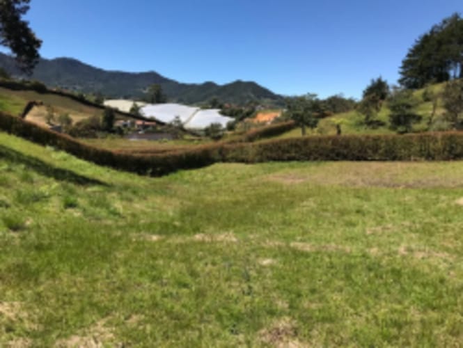 Lote en venta en El Carmen de Viboral, 2515 m² · foto 15 de 20