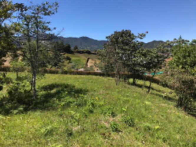Lote en venta en El Carmen de Viboral, 2515 m² · foto 17 de 20