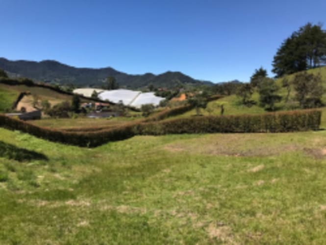 Lote en venta en El Carmen de Viboral, 2515 m² · foto 18 de 20