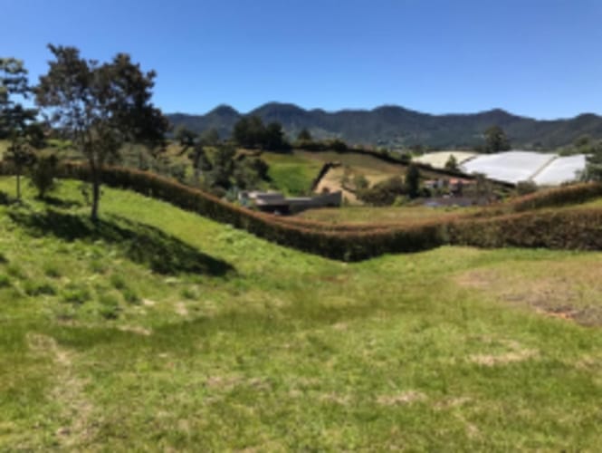Lote en venta en El Carmen de Viboral, 2515 m² · foto 20 de 20