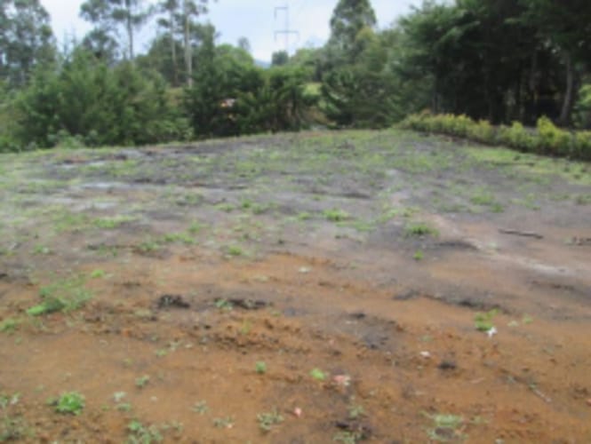 Lote en venta en Guamito, El Carmen de Viboral, 3250 m² · foto 3 de 7