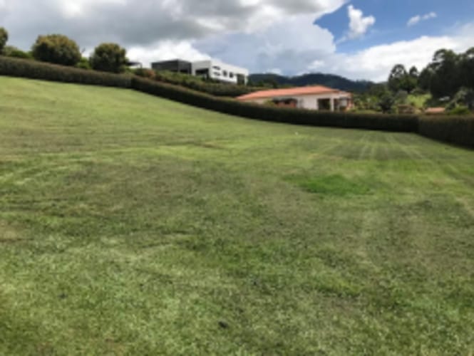 Lote en venta en Guamito, La Ceja, 2600 m² · foto 6 de 10