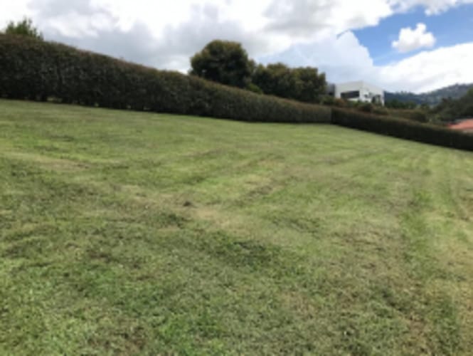 Lote en venta en Guamito, La Ceja, 2600 m² · foto 7 de 10