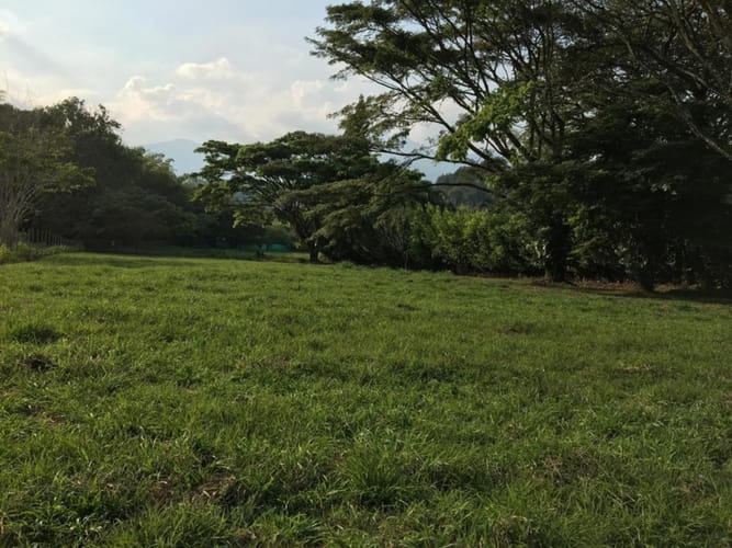 Lote en venta en Porerito, Jamundí · foto 5 de 11