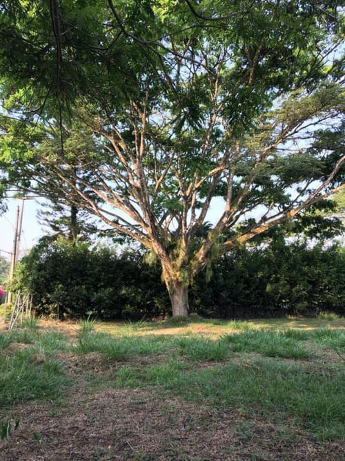 Lote en venta en Porerito, Jamundí · foto 6 de 11
