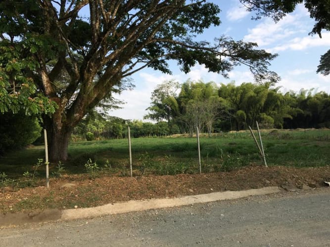 Lote en venta en Porerito, Jamundí · foto 9 de 11