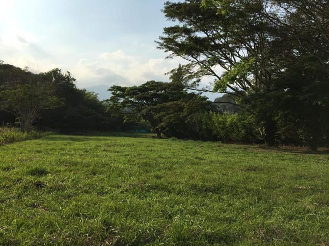 Lote en venta en Porerito, Jamundí · foto 10 de 11