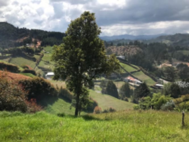 Lote en venta en El Chuscal, El Retiro, 1695 m² · foto 6 de 14