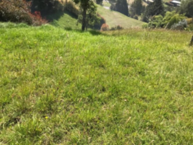 Lote en venta en El Chuscal, El Retiro, 1695 m² · foto 7 de 14
