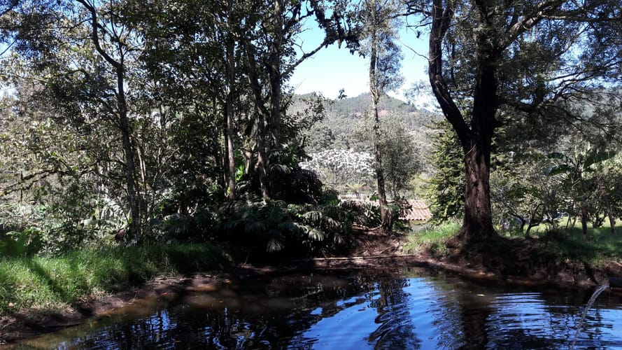 Lote en venta en Pantanillo, El Retiro, 16599 m² · foto 9 de 9