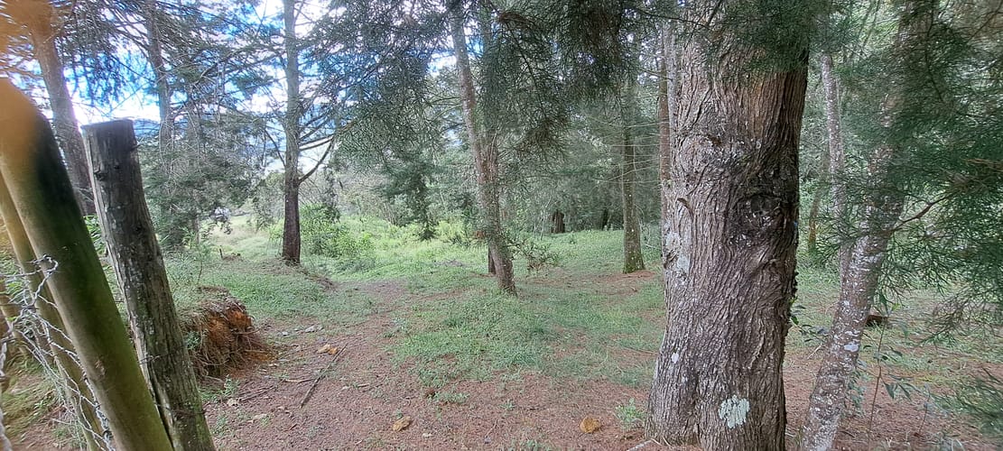 Lote en venta en El Capiro, Rionegro, 13176 m² · foto 6 de 16