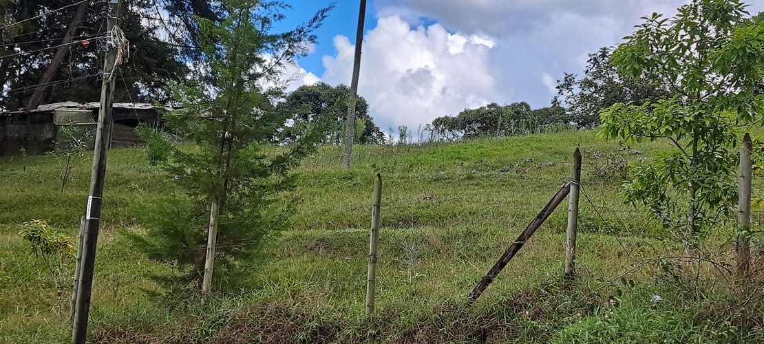 Lote en venta en El Capiro, Rionegro, 13176 m² · foto 14 de 16
