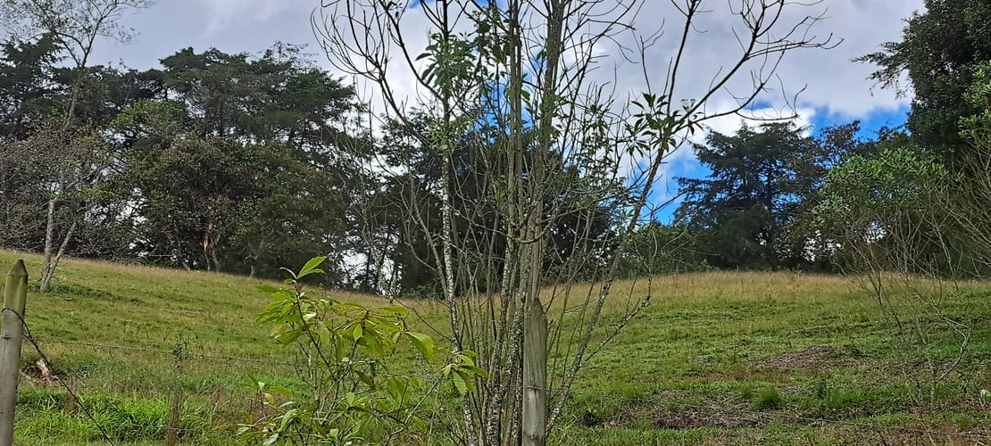 Lote en venta en El Capiro, Rionegro, 13176 m² · foto 16 de 16
