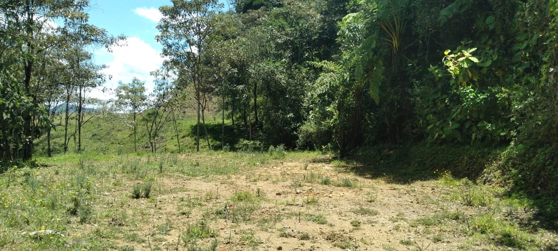 Lote en venta en Lomitas, La Ceja, 10364 m² · foto 2 de 16