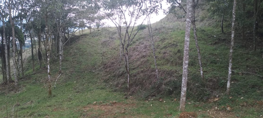 Lote en venta en Lomitas, La Ceja, 10364 m² · foto 3 de 16