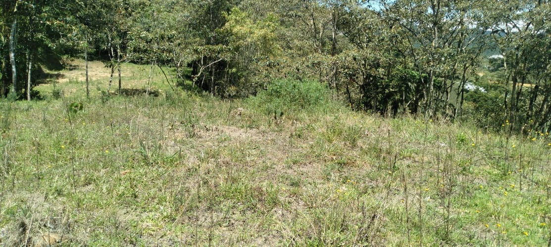 Lote en venta en Lomitas, La Ceja, 10364 m² · foto 4 de 16