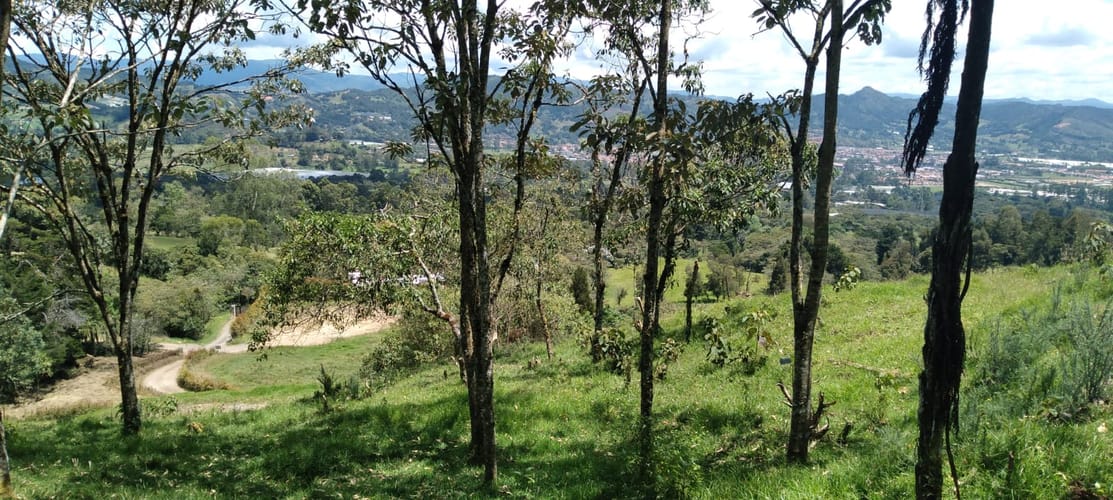 Lote en venta en Lomitas, La Ceja, 10364 m² · foto 7 de 16