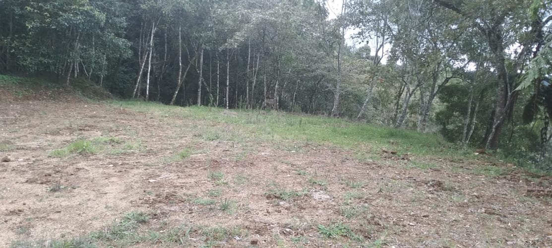 Lote en venta en Lomitas, La Ceja, 10364 m² · foto 16 de 16
