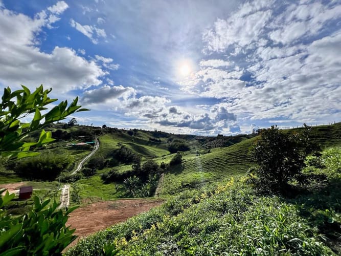 Lote en venta en San Jose, Marinilla, 9642 m² · foto 5 de 18