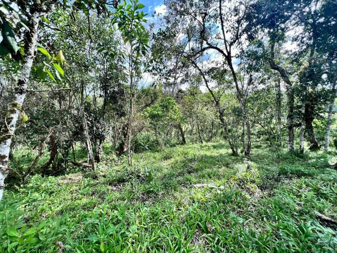 Lote en venta en San Jose, Marinilla, 9642 m² · foto 13 de 18