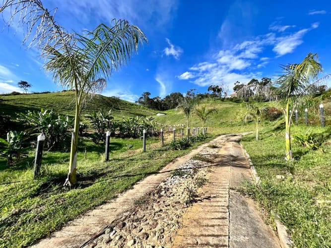 Lote en venta en San Jose, Marinilla, 9642 m² · foto 14 de 18