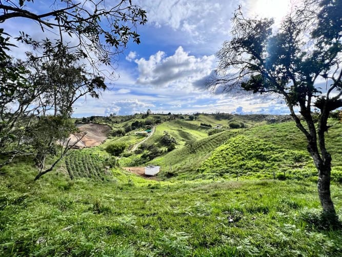 Lote en venta en San Jose, Marinilla, 9642 m² · foto 15 de 18