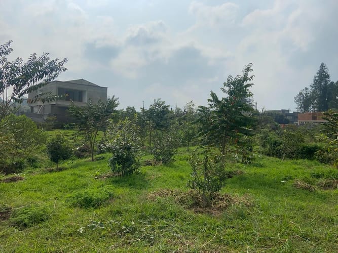 Lote en venta en Llano Grande, Rionegro, 275 m² · foto 3 de 16